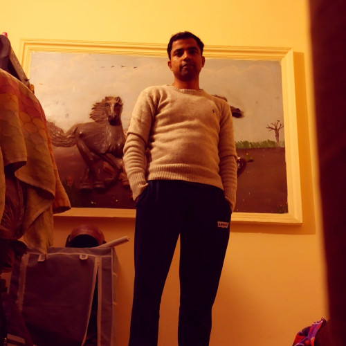 Shail S. profile photo