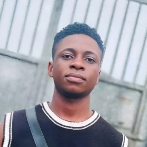 Adetunji Stephen  A. profile photo