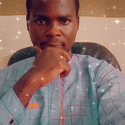OLATUNJI O. profile photo