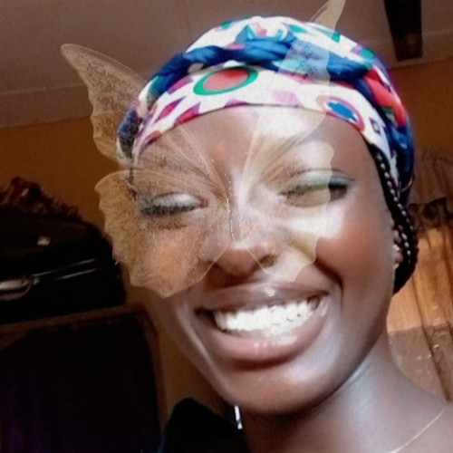 Fimi  Z. profile photo