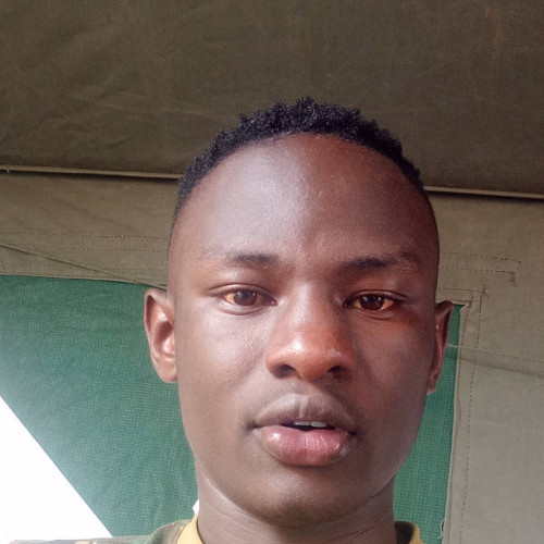 ELVIS M. profile photo