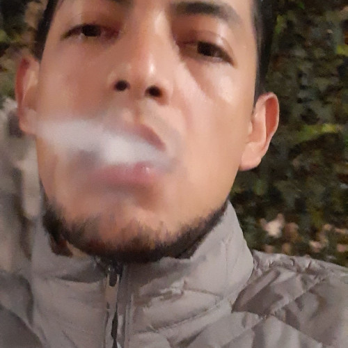 Gustavo S. profile photo