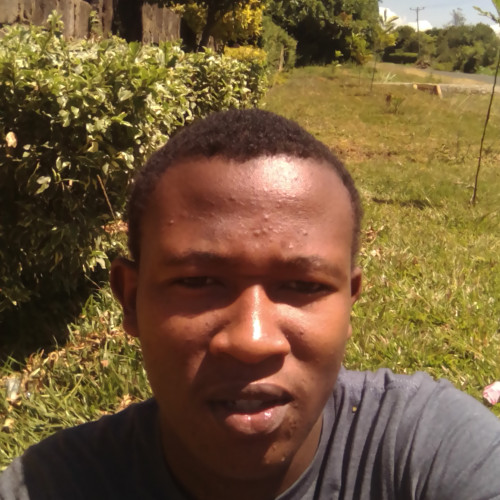 kelvin k. profile photo