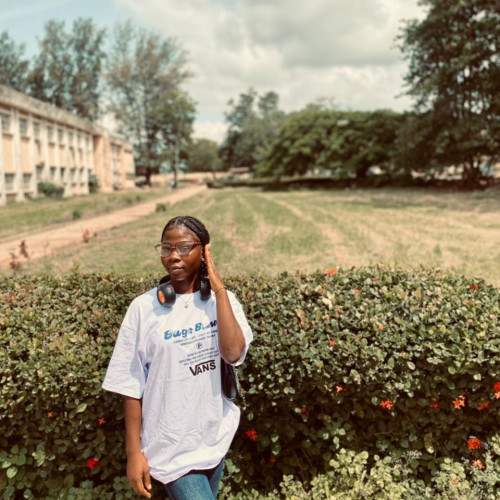 Olaoluwa  A. profile photo
