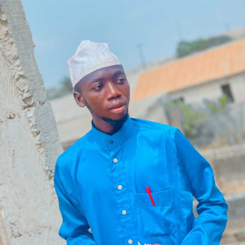 Ibrahim s.