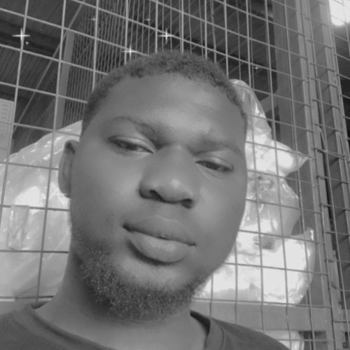 Ajayi Olayemi  O. profile photo