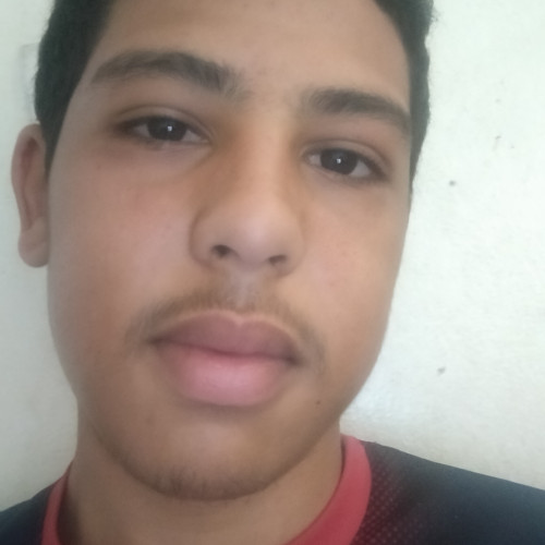 souhail j. profile photo