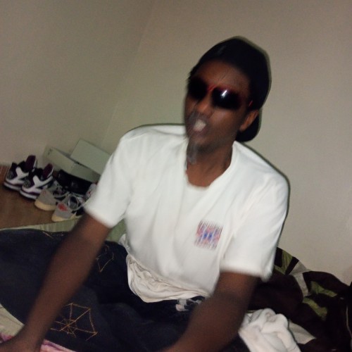 Elvis N.