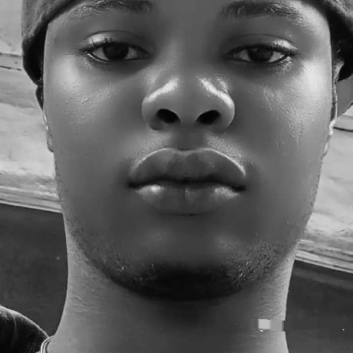 Festy K. profile photo