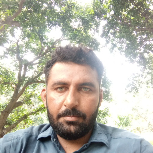 Muhammad N. profile photo