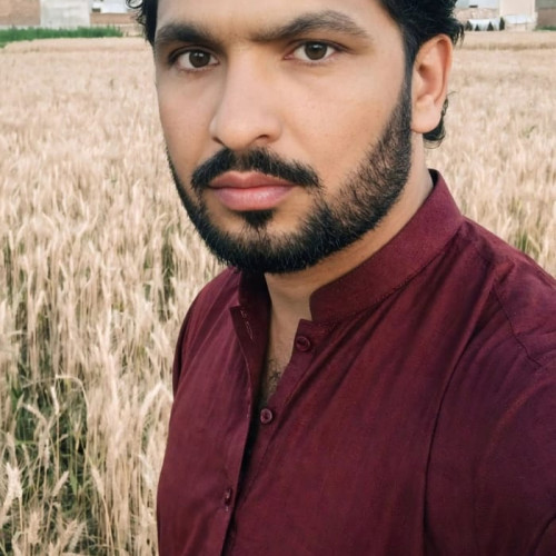 MShahzad K. profile photo