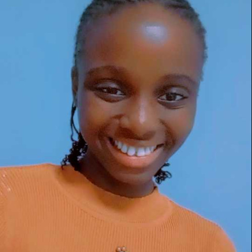 Eniola A. profile photo