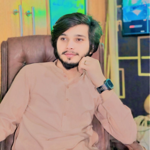 Mirza  Z. profile photo