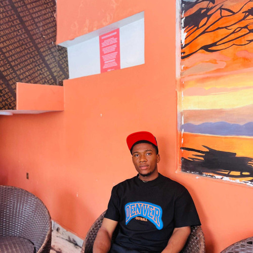Vincent N. profile photo