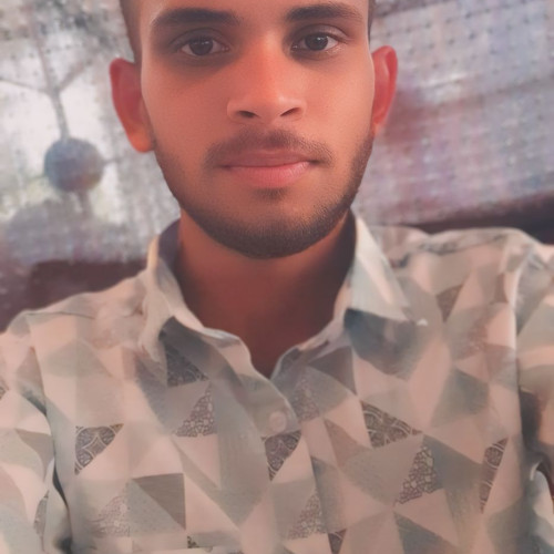 RAVIKUMAR S. profile photo
