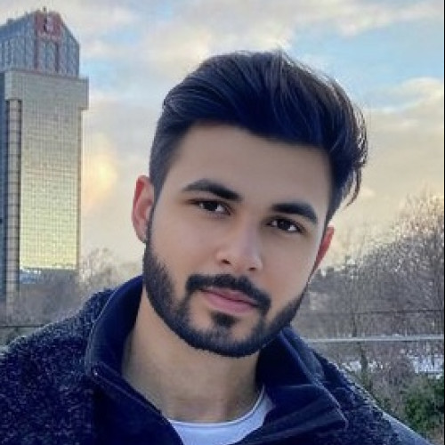 Ritik K.