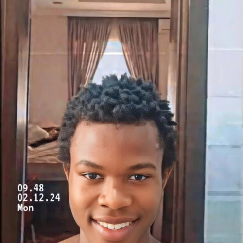 Chidiebube N. profile photo