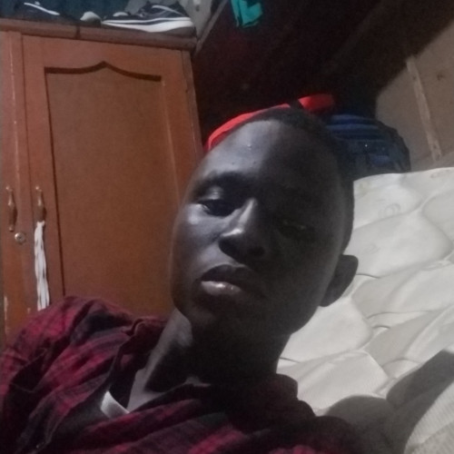 Mahmoud  J. profile photo