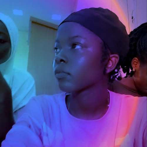 Akinlotan  O. profile photo