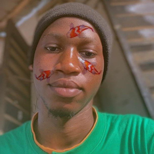 Ajayi  O.