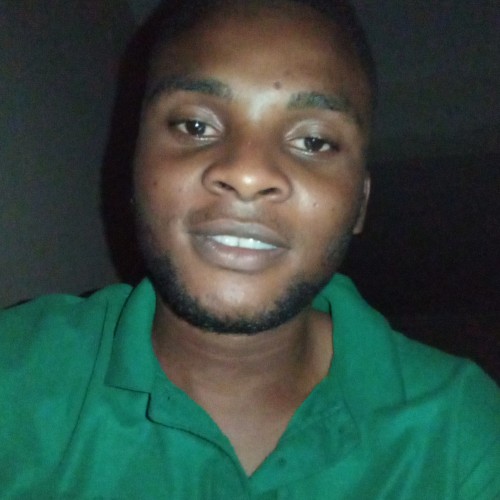 Martinjunior chimezie  E. profile photo