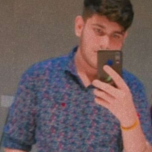 vansh d.