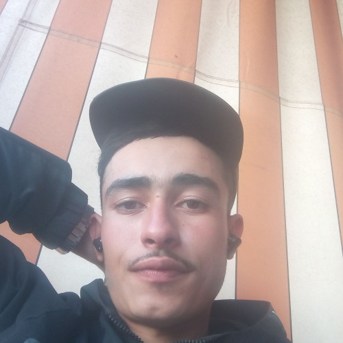 hamza n. profile photo
