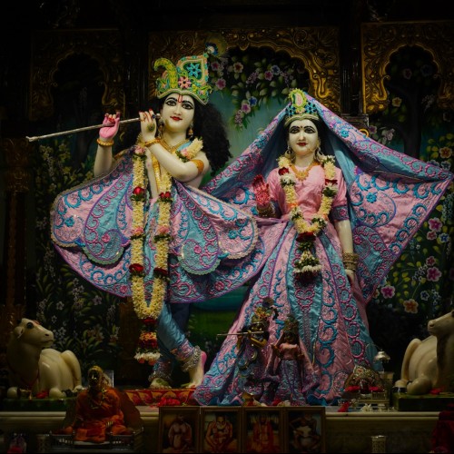 madhavi p.