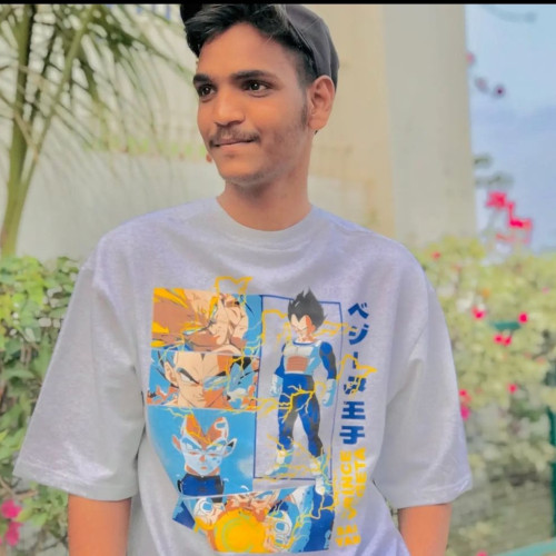 Himanshu T. profile photo