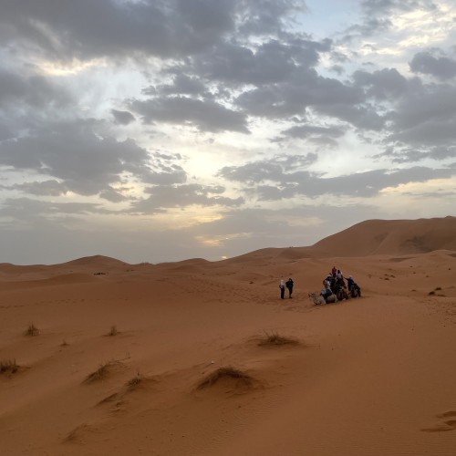 rylan o. profile photo