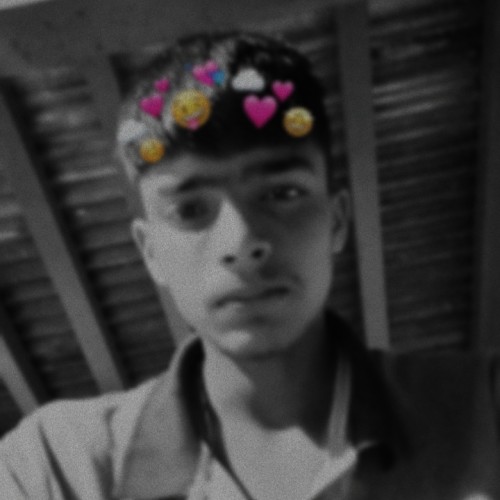 Aayush R.