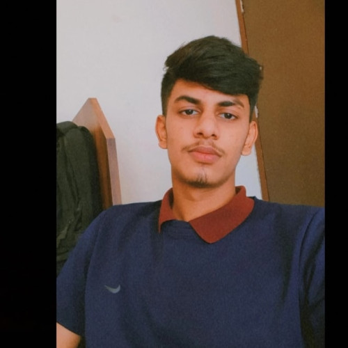 Aditya P.