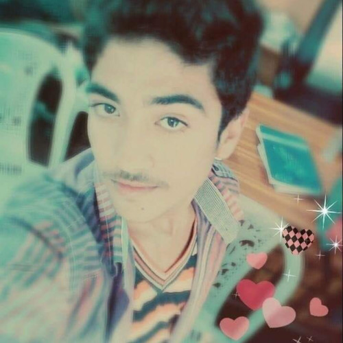 Zain A.