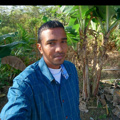 Amrit P.