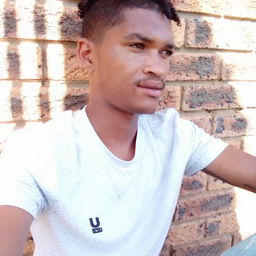 Lorenzo  S. profile photo