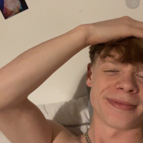 Ryan R. profile photo