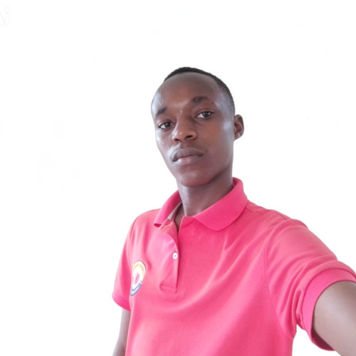 Dennis D. profile photo
