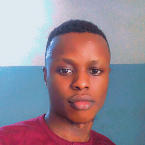 Ayobami A. profile photo