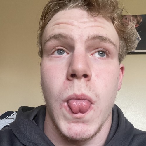 Kael K. profile photo