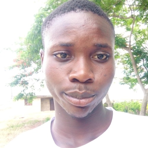 Adebamijo A.