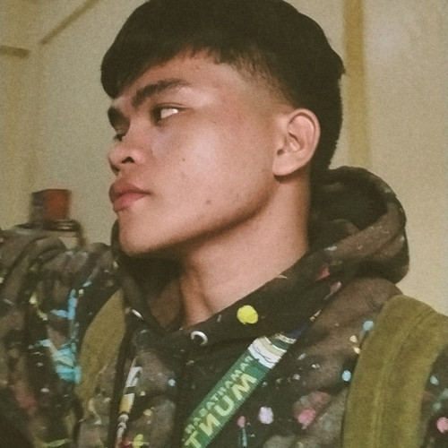 Mark Louie P. profile photo