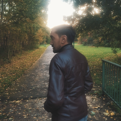 Ameer Hamza B.