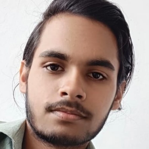 Alok R.