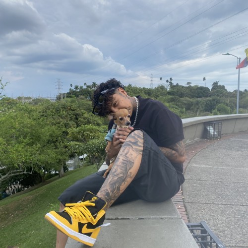 michelle  v. profile photo