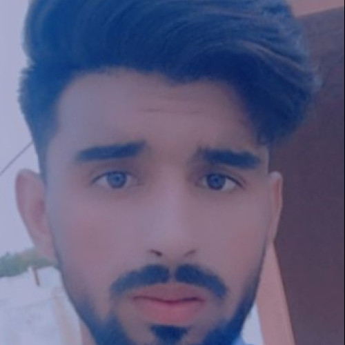Malik M. profile photo