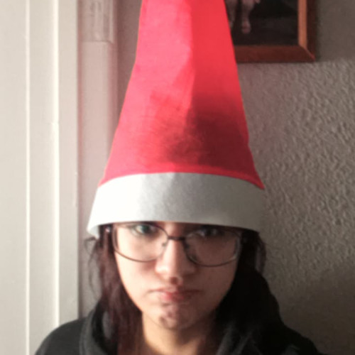 XochitI A. profile photo
