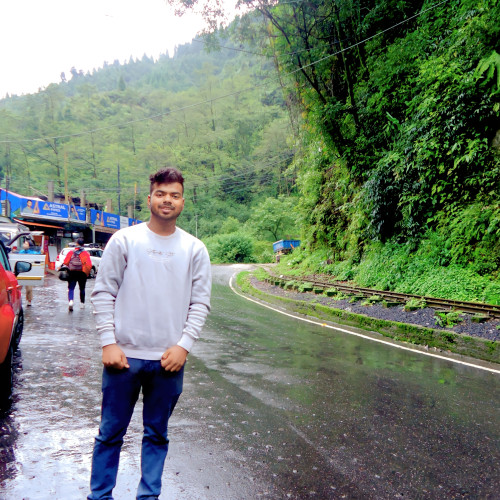 Mohit K.