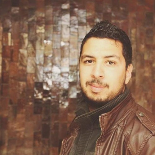 Taoufiq S.