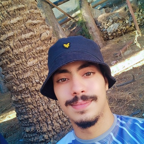 Abdelbari  B. profile photo
