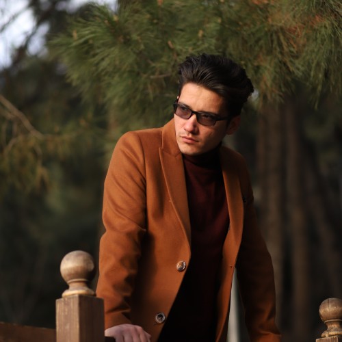 Amir  H.